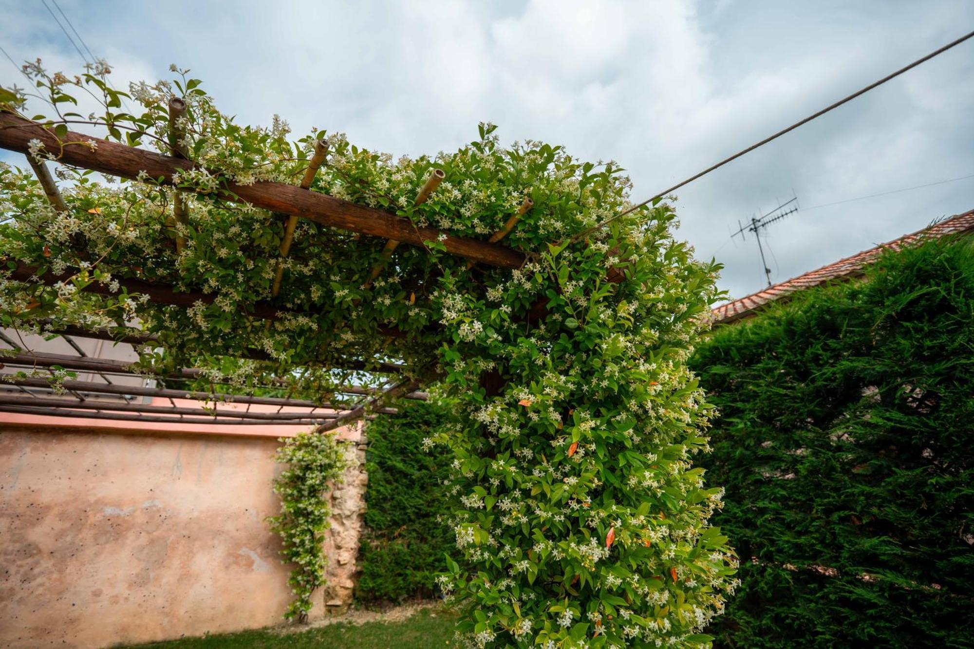 San Sebastiano Alloggio per agriturismo Finale Ligure