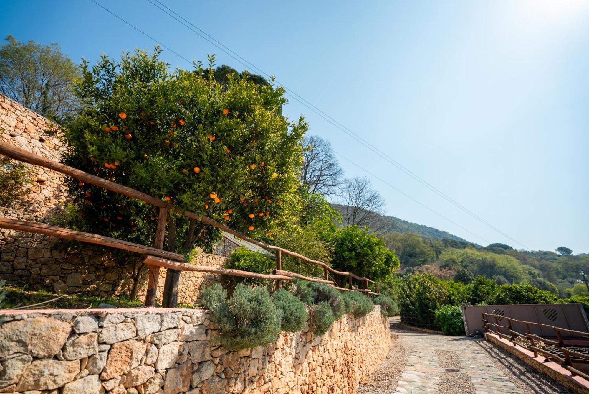 San Sebastiano Alloggio per agriturismo